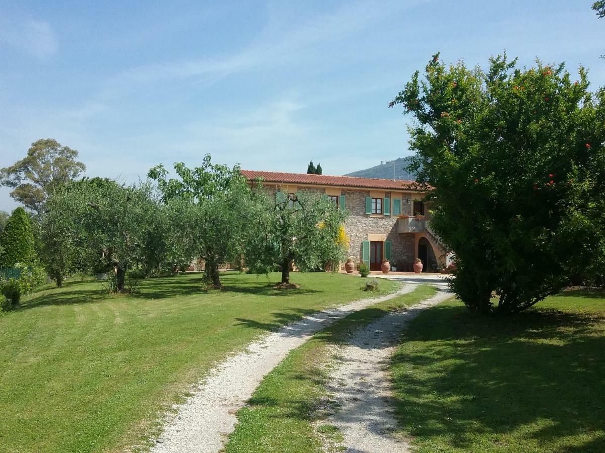 Locazione Turistica La Ginestra Appartement Monsummano Terme Buitenkant foto
